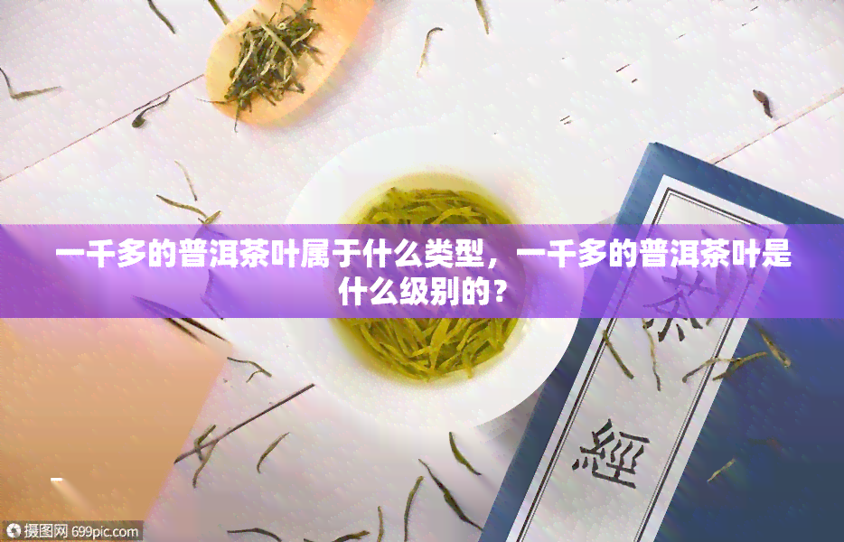 一千多的普洱茶叶属于什么类型，一千多的普洱茶叶是什么级别的？