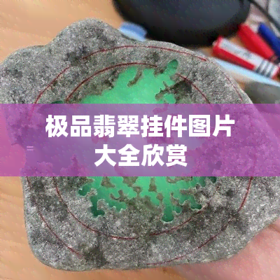 极品翡翠挂件图片大全欣赏