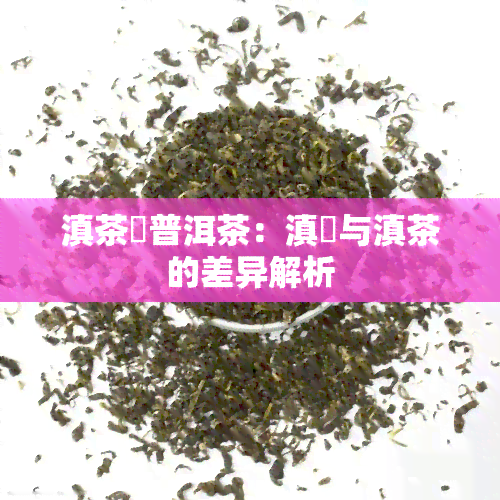 滇茶巭普洱茶：滇垚与滇茶的差异解析