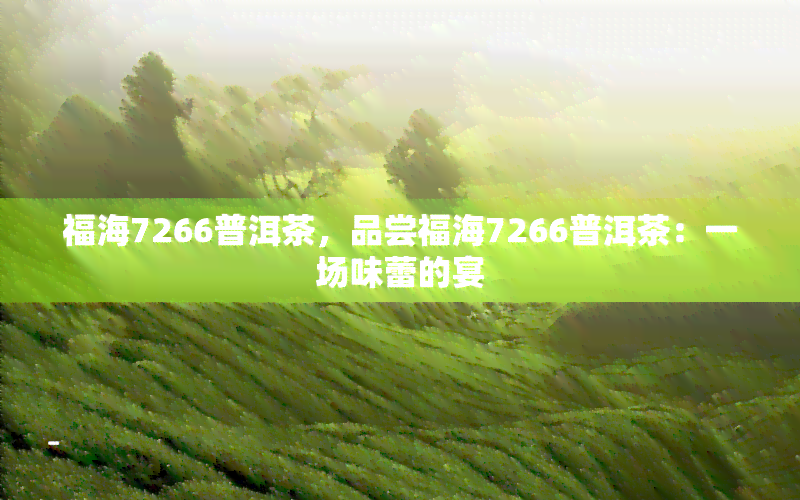 福海7266普洱茶，品尝福海7266普洱茶：一场味蕾的宴