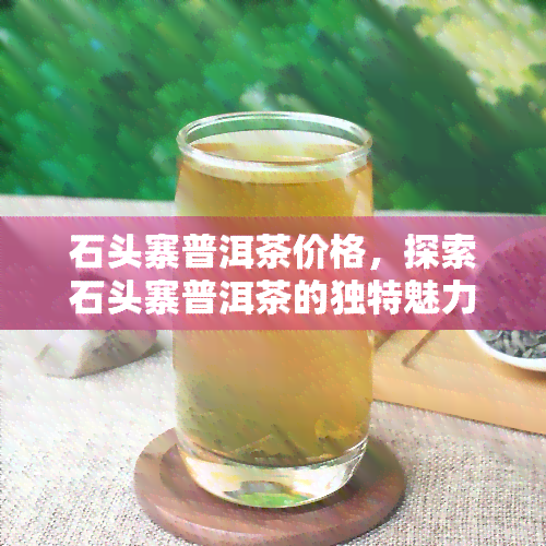 石头寨普洱茶价格，探索石头寨普洱茶的独特魅力：最新市场价格一览