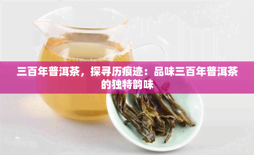 三百年普洱茶，探寻历痕迹：品味三百年普洱茶的独特韵味