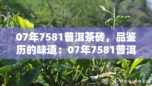 07年7581普洱茶砖，品鉴历的味道：07年7581普洱茶砖的独特魅力