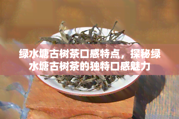 绿水塘古树茶口感特点，探秘绿水塘古树茶的独特口感魅力