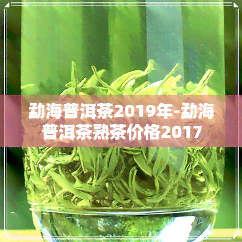 勐海普洱茶2019年-勐海普洱茶熟茶价格2017