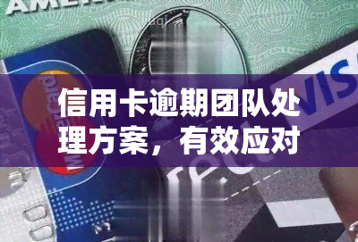 信用卡逾期团队处理方案，有效应对信用卡逾期：团队处理方案解析