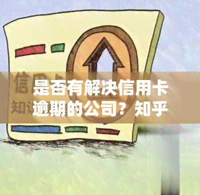 是否有解决信用卡逾期的公司？知乎用户分享经验与建议