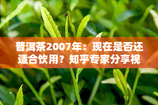 普洱茶2007年：现在是否还适合饮用？知乎专家分享视频解答