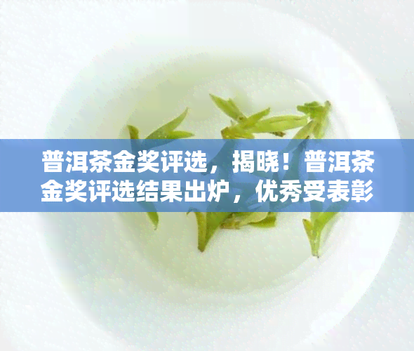 普洱茶金奖评选，揭晓！普洱茶金奖评选结果出炉，优秀受表彰