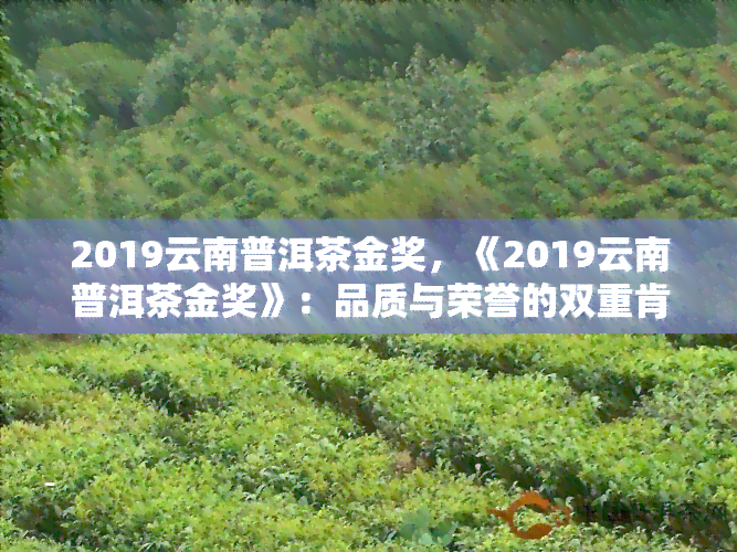 2019云南普洱茶金奖，《2019云南普洱茶金奖》：品质与荣誉的双重肯定