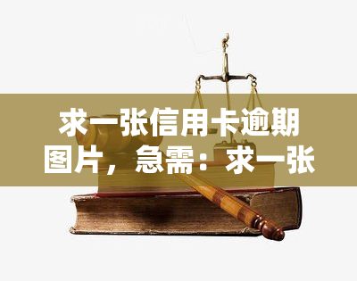 求一张信用卡逾期图片，急需：求一张信用卡逾期的图片！