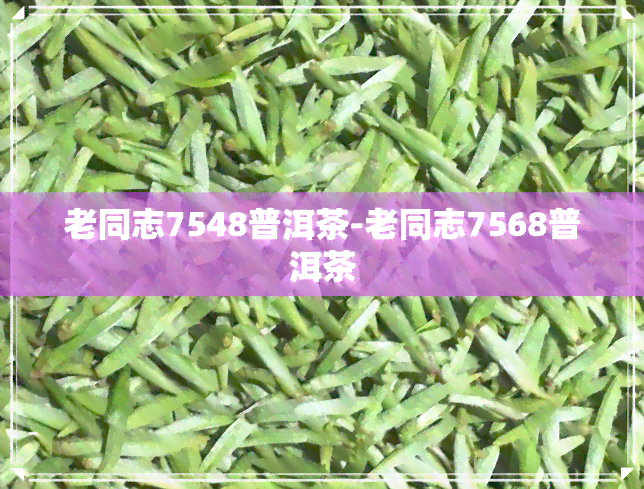 老同志7548普洱茶-老同志7568普洱茶