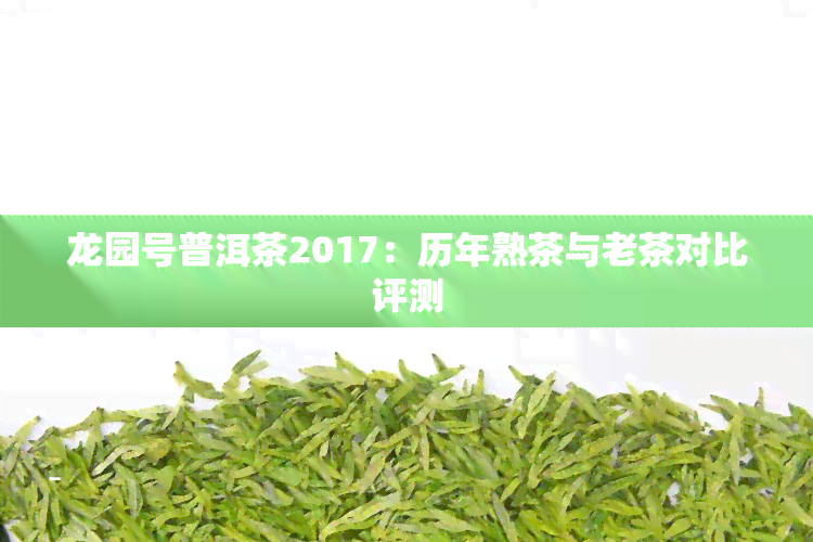 龙园号普洱茶2017：历年熟茶与老茶对比评测