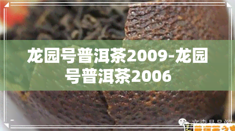 龙园号普洱茶2009-龙园号普洱茶2006