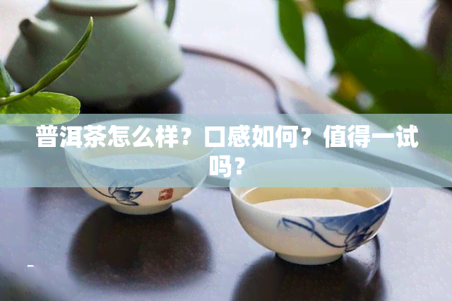 普洱茶怎么样？口感如何？值得一试吗？