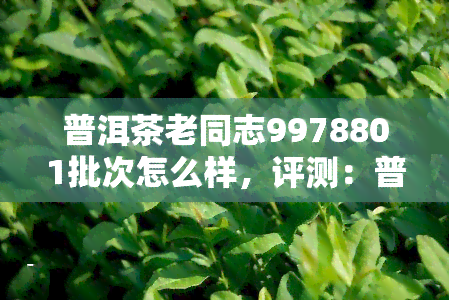 普洱茶老同志9978801批次怎么样，评测：普洱茶老同志9978801批次的口感与品质如何？