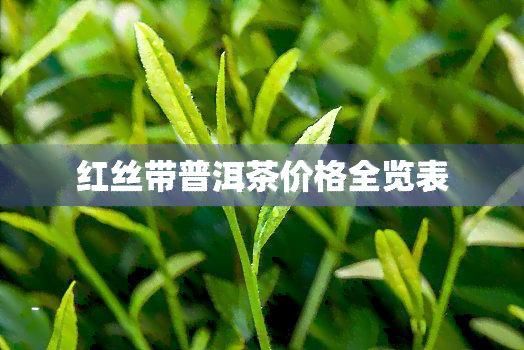 红丝带普洱茶价格全览表