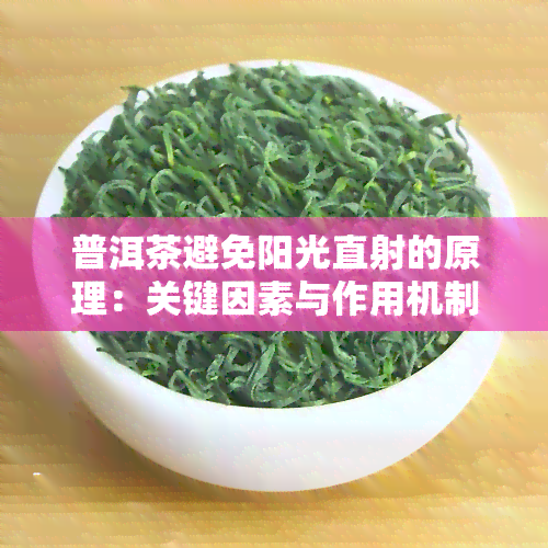 普洱茶避免阳光直射的原理：关键因素与作用机制