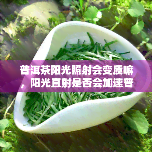 普洱茶阳光照射会变质嘛，阳光直射是否会加速普洱茶的变质？