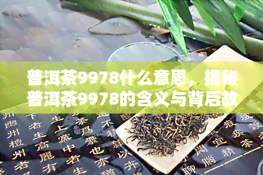 普洱茶9978什么意思，揭秘普洱茶9978的含义与背后故事