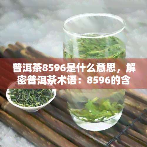 普洱茶8596是什么意思，解密普洱茶术语：8596的含义是什么？