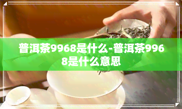 普洱茶9968是什么-普洱茶9968是什么意思