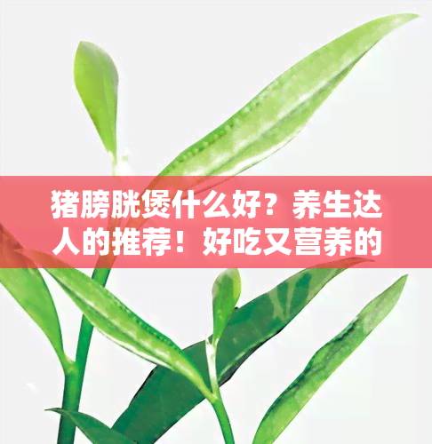 猪膀胱煲什么好？养生达人的推荐！好吃又营养的搭配方案