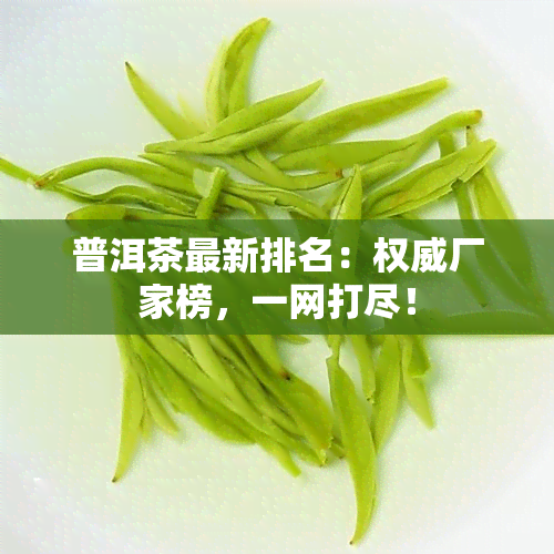 普洱茶最新排名：权威厂家榜，一网打尽！