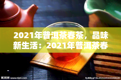 2021年普洱茶春茶，品味新生活：2021年普洱茶春茶上市，你准备好了吗？