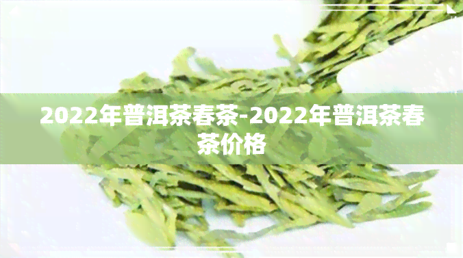 2022年普洱茶春茶-2022年普洱茶春茶价格