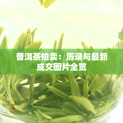 普洱茶拍卖：历录与最新成交图片全览