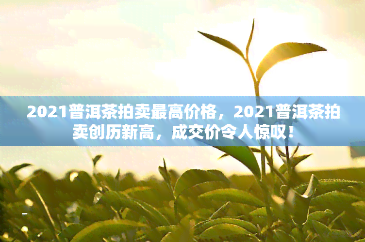 2021普洱茶拍卖更高价格，2021普洱茶拍卖创历新高，成交价令人惊叹！