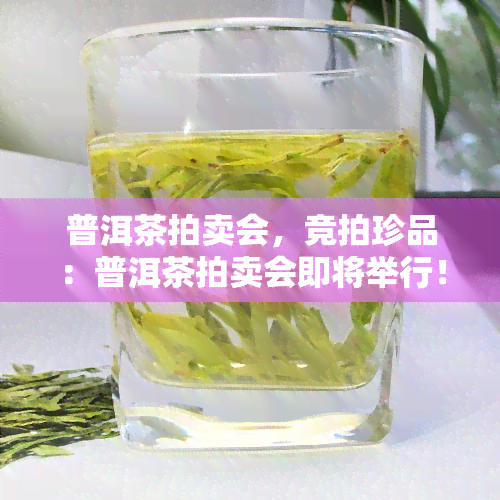 普洱茶拍卖会，竞拍珍品：普洱茶拍卖会即将举行！