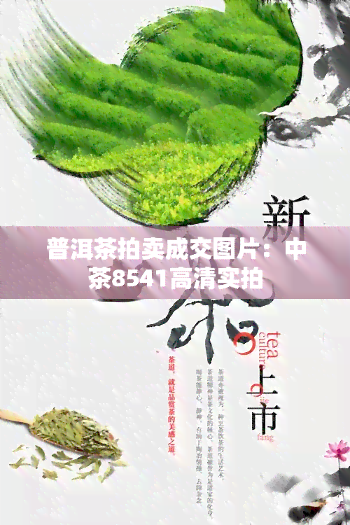 普洱茶拍卖成交图片：中茶8541高清实拍