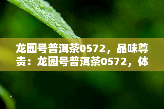 龙园号普洱茶0572，品味尊贵：龙园号普洱茶0572，体验独特的茶香与韵味