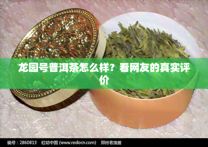 龙园号普洱茶怎么样？看网友的真实评价