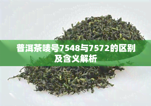 普洱茶唛号7548与7572的区别及含义解析