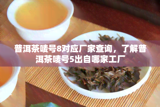 普洱茶唛号8对应厂家查询，了解普洱茶唛号5出自哪家工厂