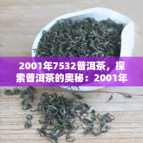 2001年7532普洱茶，探索普洱茶的奥秘：2001年7532普洱茶的魅力与品尝指南