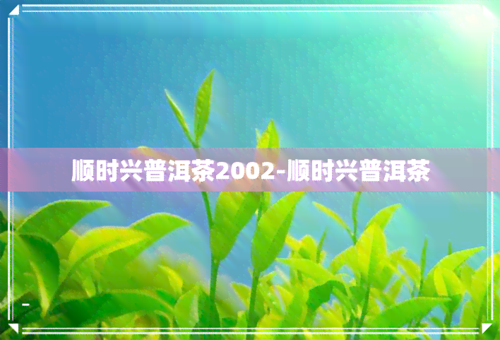 顺时兴普洱茶2002-顺时兴普洱茶