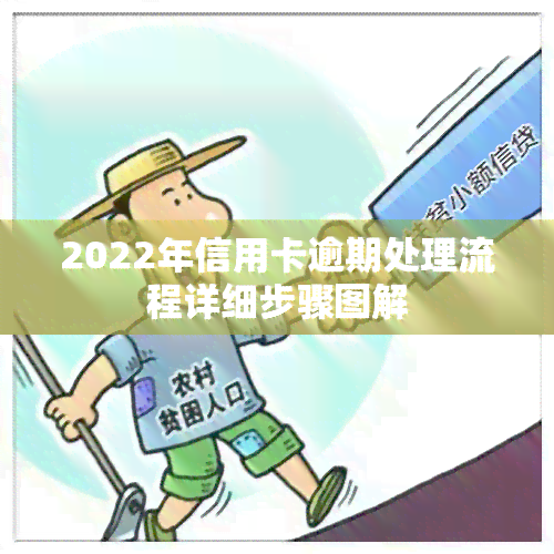 2022年信用卡逾期处理流程详细步骤图解