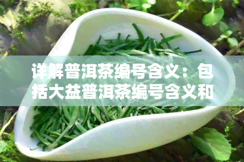 详解普洱茶编号含义：包括大益普洱茶编号含义和普洱茶编号的一般解释