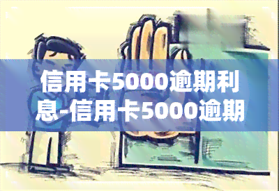 信用卡5000逾期利息-信用卡5000逾期利息多少