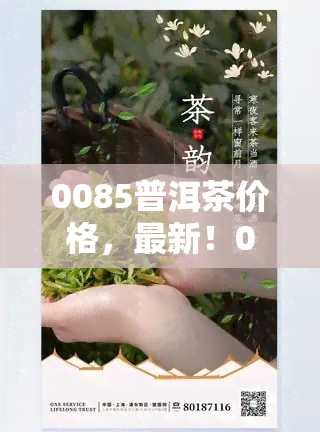 0085普洱茶价格，最新！0085普洱茶市场价格行情全解析