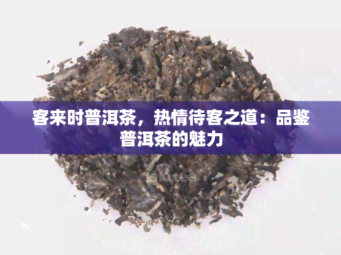 客来时普洱茶，热情待客之道：品鉴普洱茶的魅力