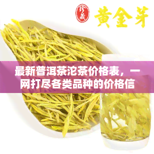 最新普洱茶沱茶价格表，一网打尽各类品种的价格信息！