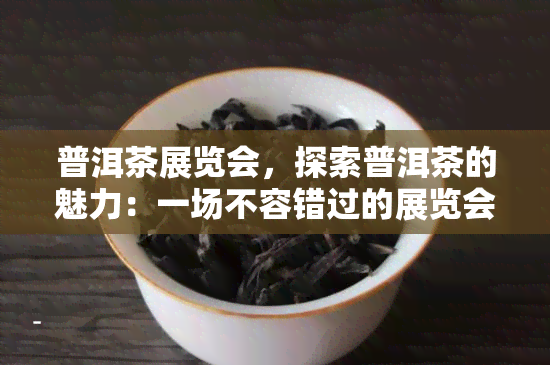 普洱茶展览会，探索普洱茶的魅力：一场不容错过的展览会