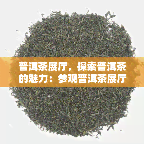 普洱茶展厅，探索普洱茶的魅力：参观普洱茶展厅