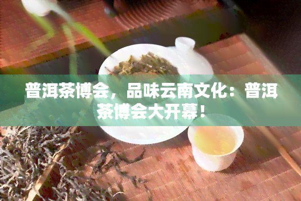 普洱茶博会，品味云南文化：普洱茶博会大开幕！