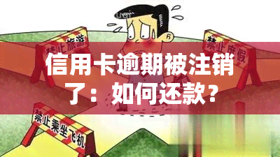 信用卡逾期被注销了：如何还款？